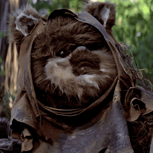Cuddly ewok on sale