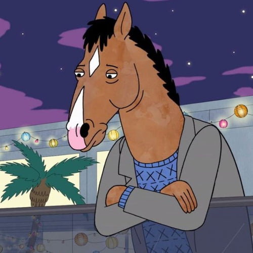bojack horseman costume