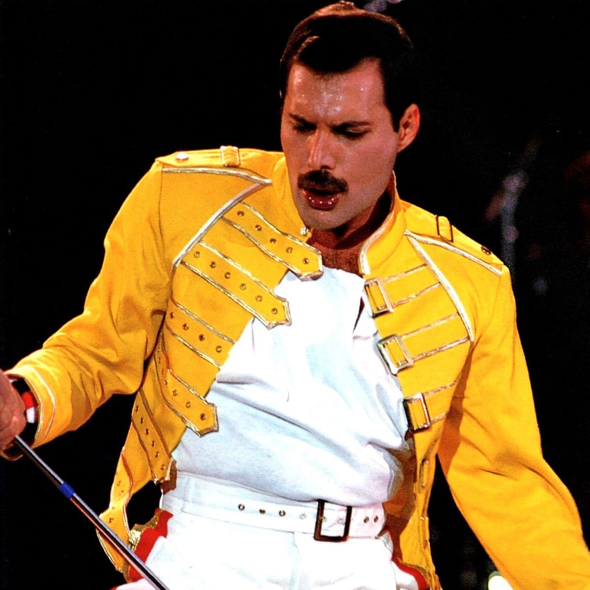 Freddie mercury belt hotsell