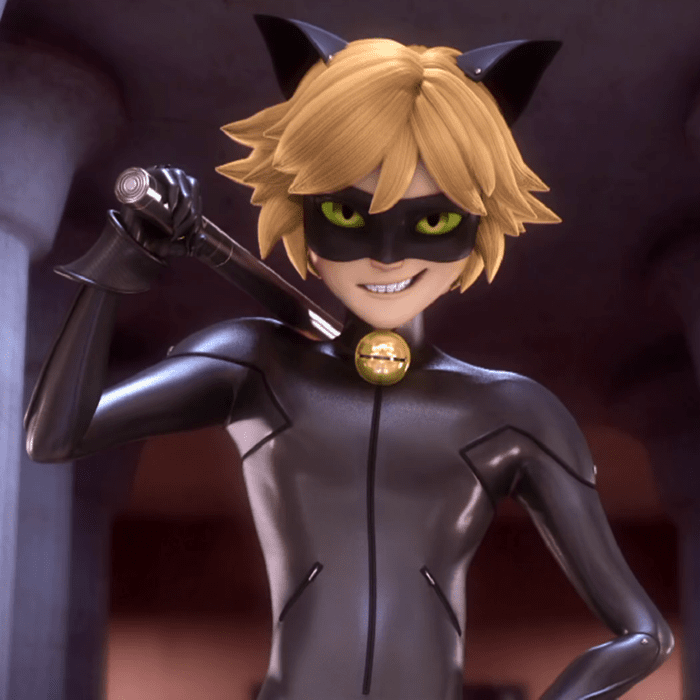 Cat Noir A Cat Superhero Quda Halloween