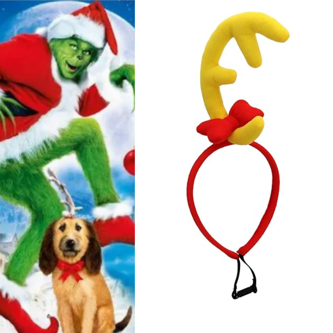 How the Grinch Stole Christmas The Grinch Max Costume Headband