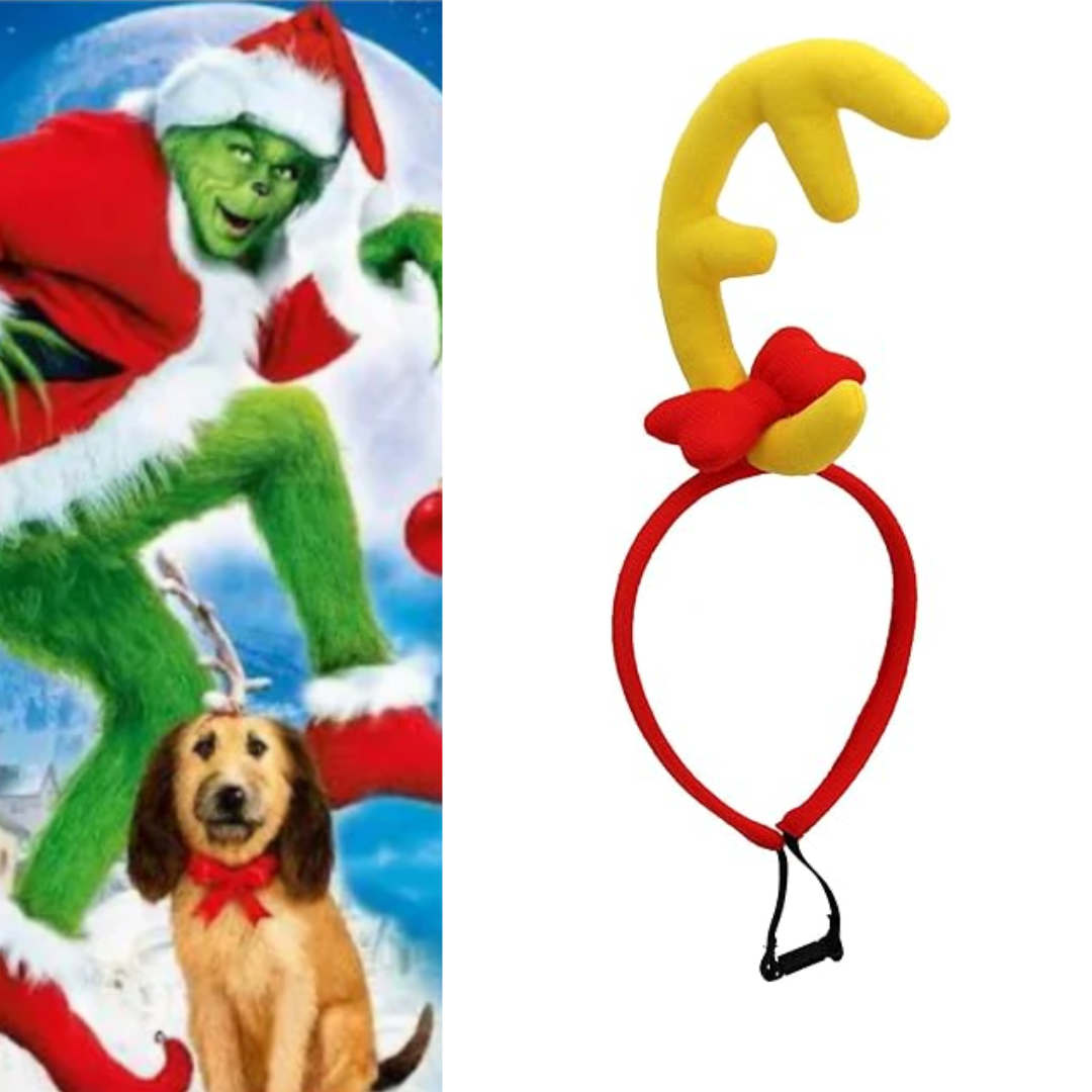 How the Grinch Stole Christmas The Grinch Max Costume Headband Quda Halloween
