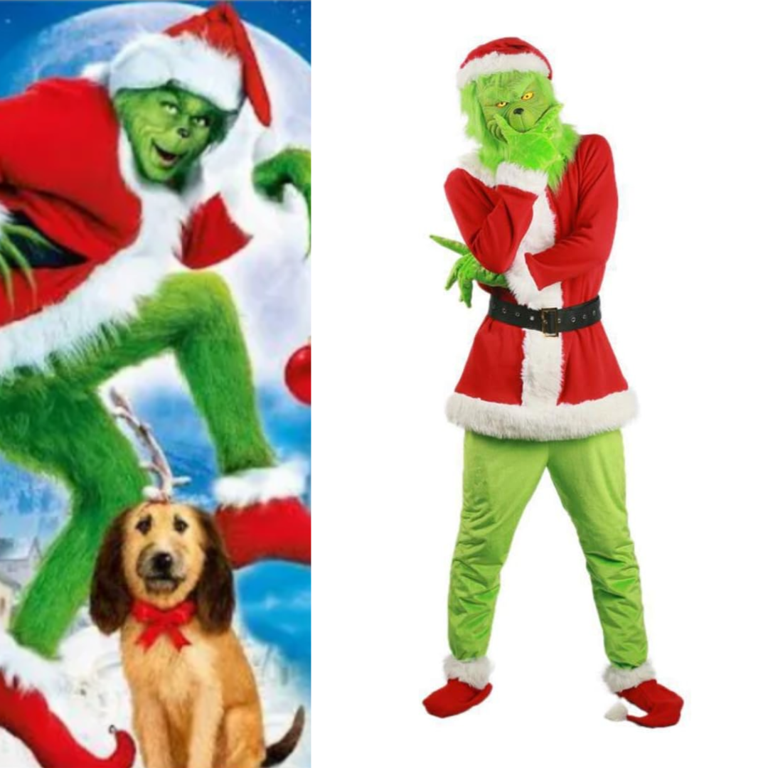 How the Grinch Stole Christmas The Grinch Costume Green Deluxe Santa Costume