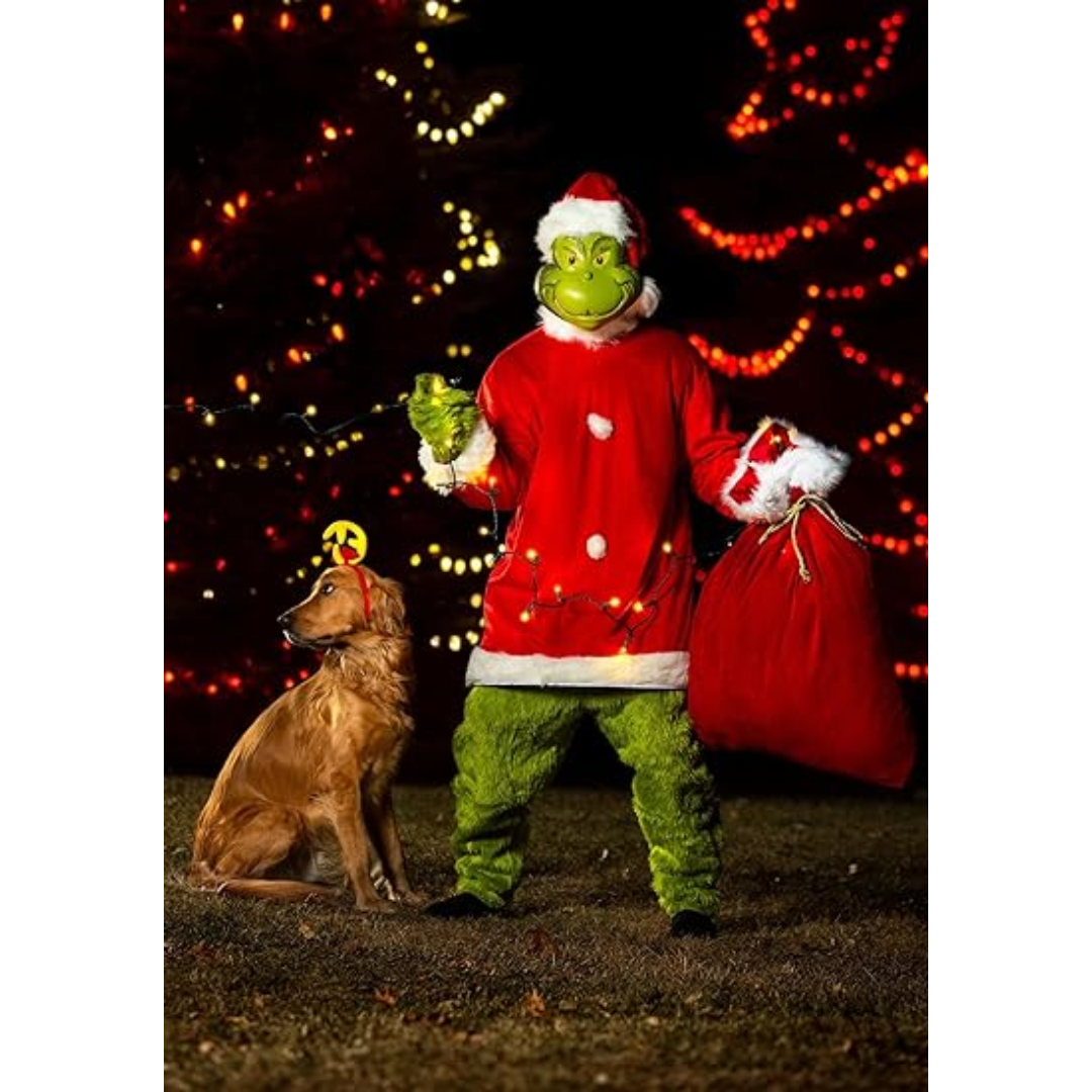 How the Grinch Stole Christmas The Grinch Max Costume Headband